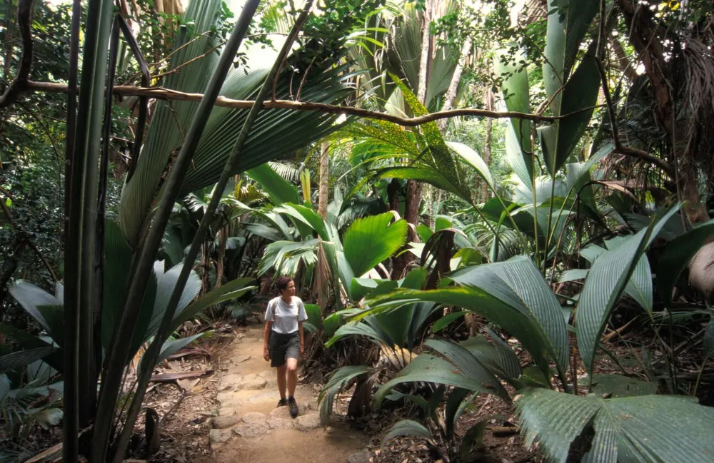 The Essential Guide to Hiking in the Seychelles -