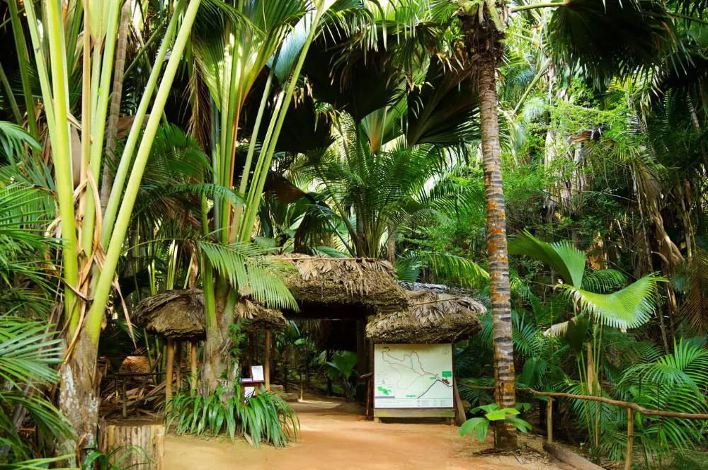 The Essential Guide to Hiking in the Seychelles -