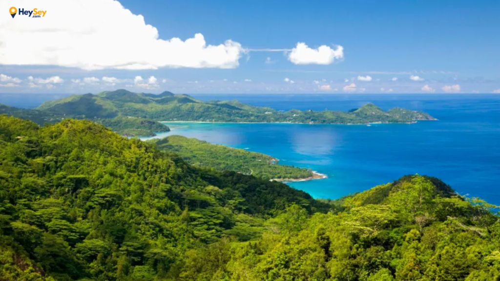 Mahe Seychelles: A Local Guide to Victoria, Morne Seychellois National Park & Hidden Beaches - morne seychellois national park hiking trail.png Hiking trail in Morne Seychellois National Park Mahé Seychelles surrounded by tropical rainforest and mountain views